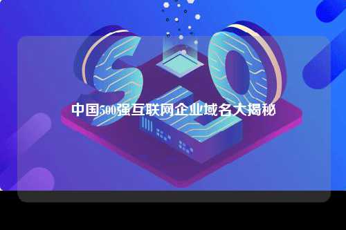 中国500强互联网企业域名大揭秘